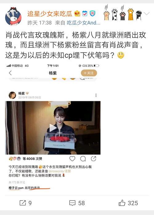 吃瓜娱乐圈营销号
